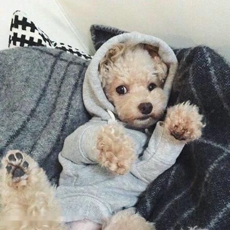 永4.2Ԫ㽭һҽթƭ